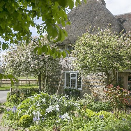 Tudor Cottage B&B Frampton Frampton (Dorset) Exterior foto