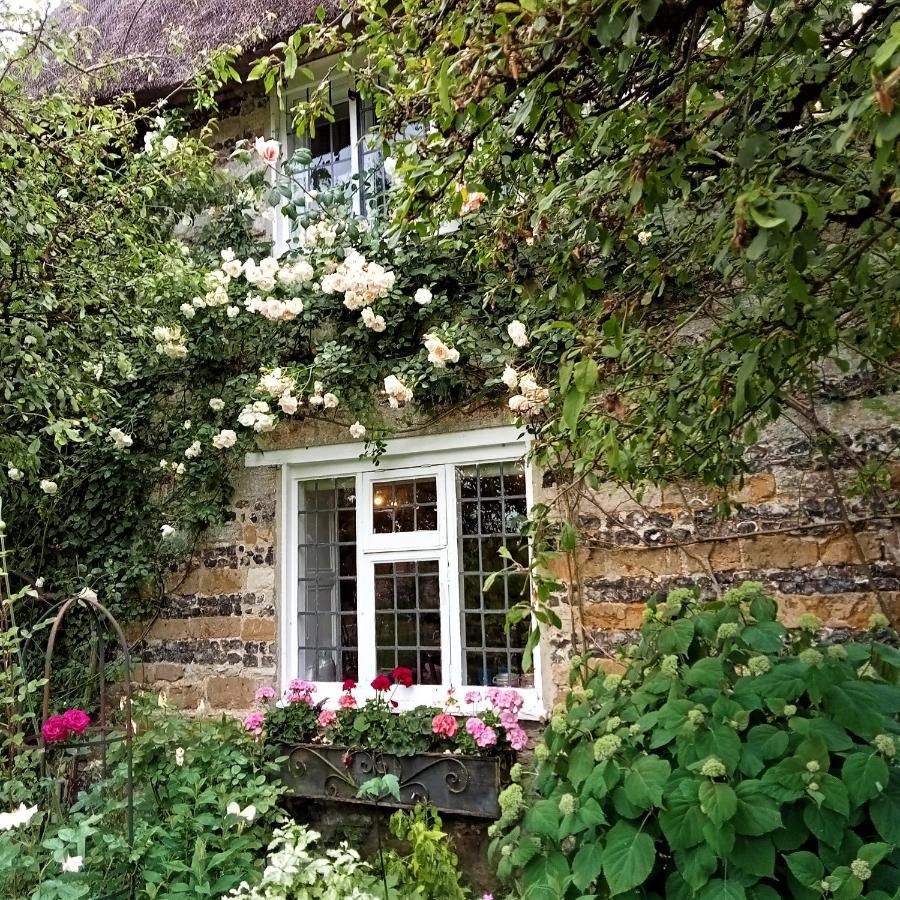Tudor Cottage B&B Frampton Frampton (Dorset) Exterior foto