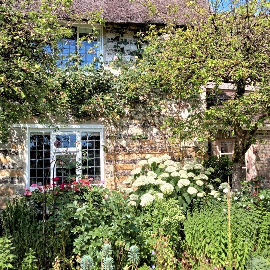 Tudor Cottage B&B Frampton Frampton (Dorset) Exterior foto
