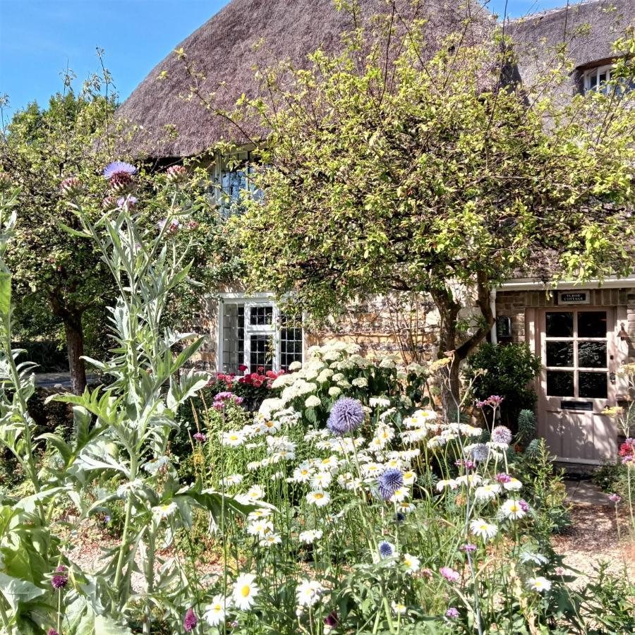 Tudor Cottage B&B Frampton Frampton (Dorset) Exterior foto