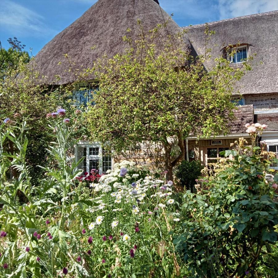 Tudor Cottage B&B Frampton Frampton (Dorset) Exterior foto