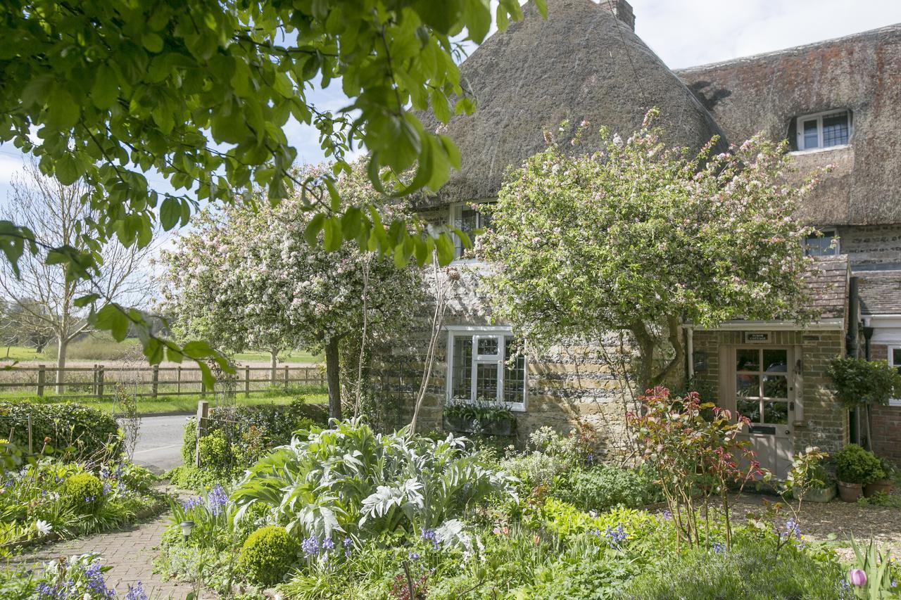 Tudor Cottage B&B Frampton Frampton (Dorset) Exterior foto